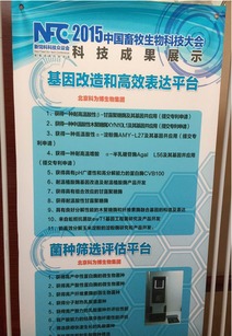 北京科為博生物集團(tuán)助力中國(guó)畜牧生物科技大會(huì)，引領(lǐng)生物飼料研發(fā)新篇章