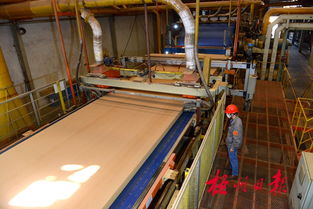 廣西三威林產(chǎn)工業(yè) 以創(chuàng)新研發(fā)驅(qū)動(dòng)產(chǎn)業(yè)升級(jí)，生物飼料產(chǎn)品引領(lǐng)綠色新賽道